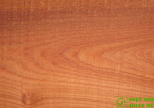 So sánh gỗ Xoan đào và Căm xe