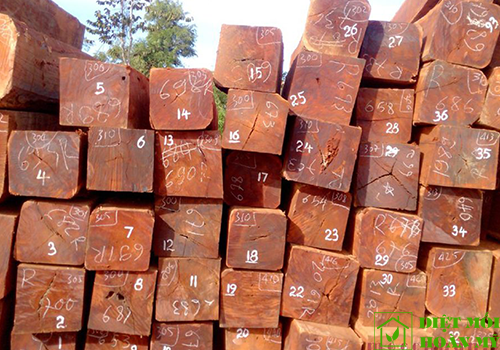 Sử dụng gỗ Căm xe dùng làm gì?