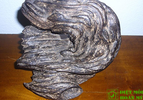 Sử dụng gỗ Kỳ nam để làm gì?